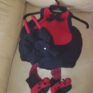 Ladybug costume
